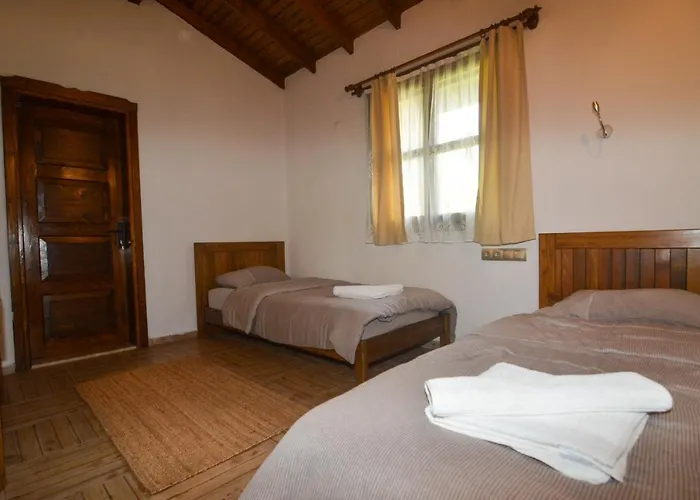 Βίλα Kayi Kayakoy