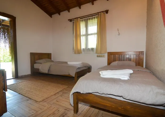 Βίλα Kayi Kayakoy